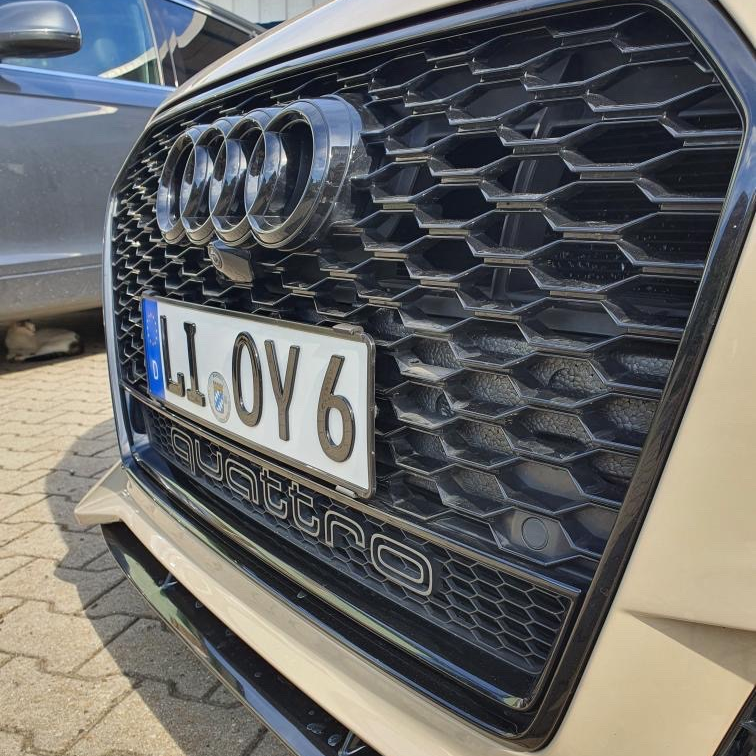 3D Druck Kennzeichenhalter für Audi RS6 4G Wabengrill Klemmung Rahmenlos 3D  Kennzeichen : : Auto & Motorrad